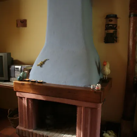 El Canto Del Gallo *