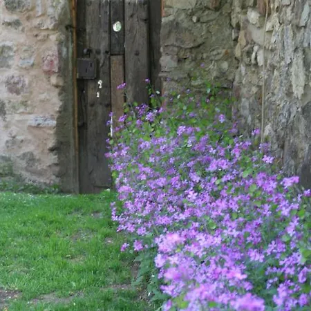 El Canto Del Gallo * Ranedo de Curueño