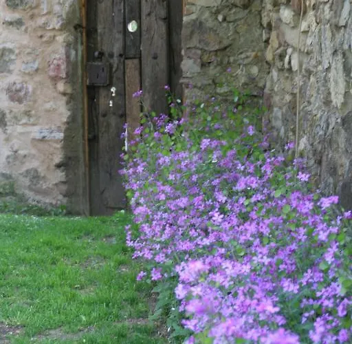 El Canto Del Gallo * Ranedo de Curueño