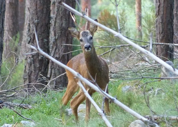 Hétvégi ház El Canto Del Gallo Ranedo de Curueño